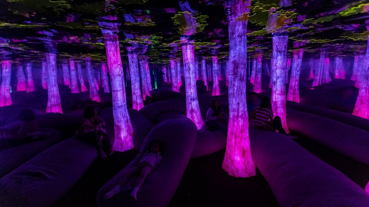 Dopamine Land: Todo lo que debes saber del panorama multisensorial que causa furor en redes sociales