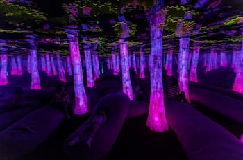 Dopamine Land: Todo lo que debes saber del panorama multisensorial que causa furor en redes sociales