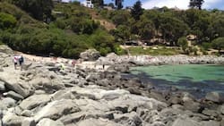 La playa escondida que se encuentra a dos horas de Santiago y puedes visitar en primavera