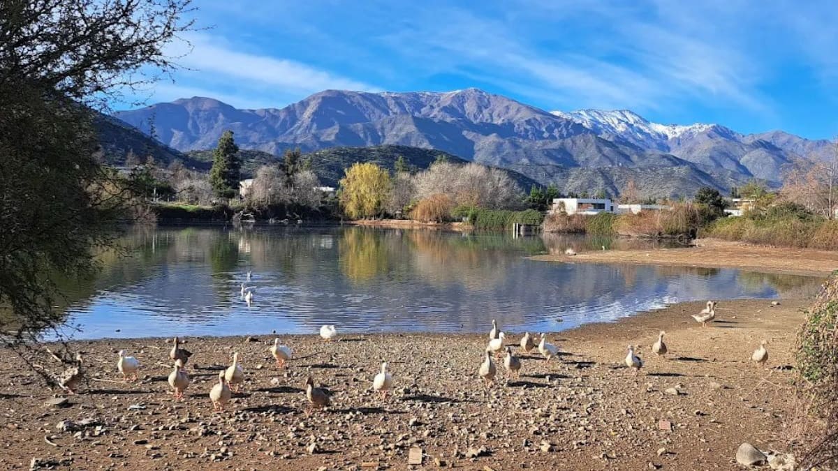 Imperdible en Santiago: Esta es la asombrosa laguna que puedes visitar de manera gratuita en primavera
