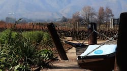 Te encantará: El rincón secreto ubicado en Santiago que puedes visitar en primavera