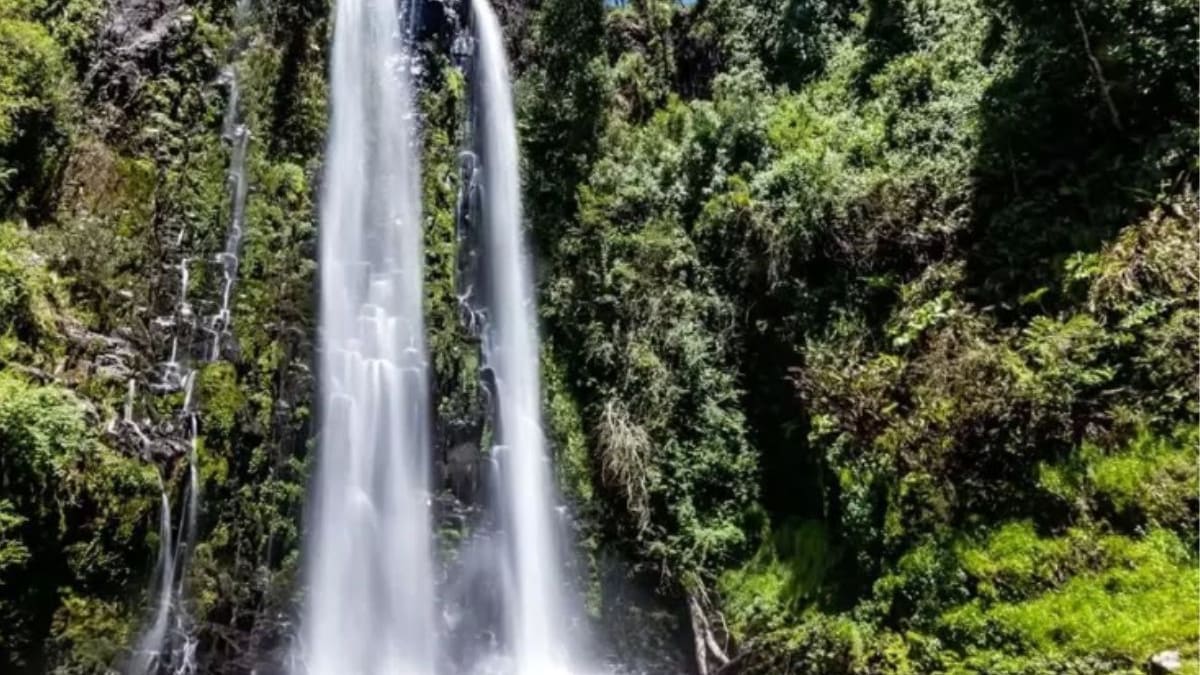 A solo tres horas de Santiago: La increíble cascada que puedes visitar en primavera por solo $1.500