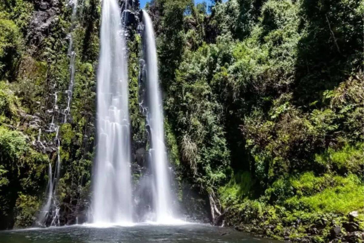 El recinto cuenta con un sendero corto de 15 minutos.
Créditos: Viaje X Chile.