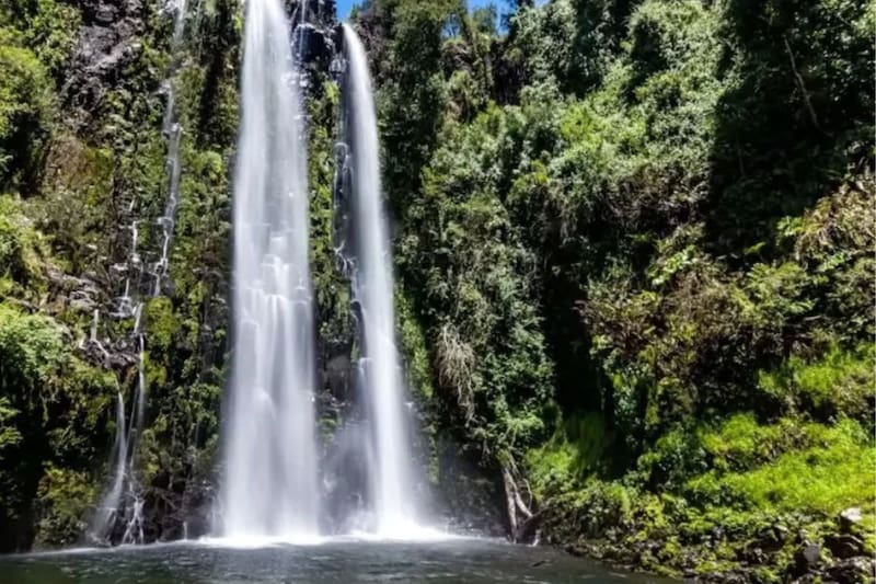 El recinto cuenta con un sendero corto de 15 minutos.
Créditos: Viaje X Chile.