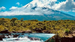 Acceso GRATIS a parques nacionales de CONAF por el Día del Deporte: cómo obtener tu pase y cuáles estarán disponibles