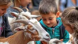 Para todos los gustos: 7 imperdibles panoramas para hacer con niños, niñas y adolescentes en la Región Metropolitana y alrededores