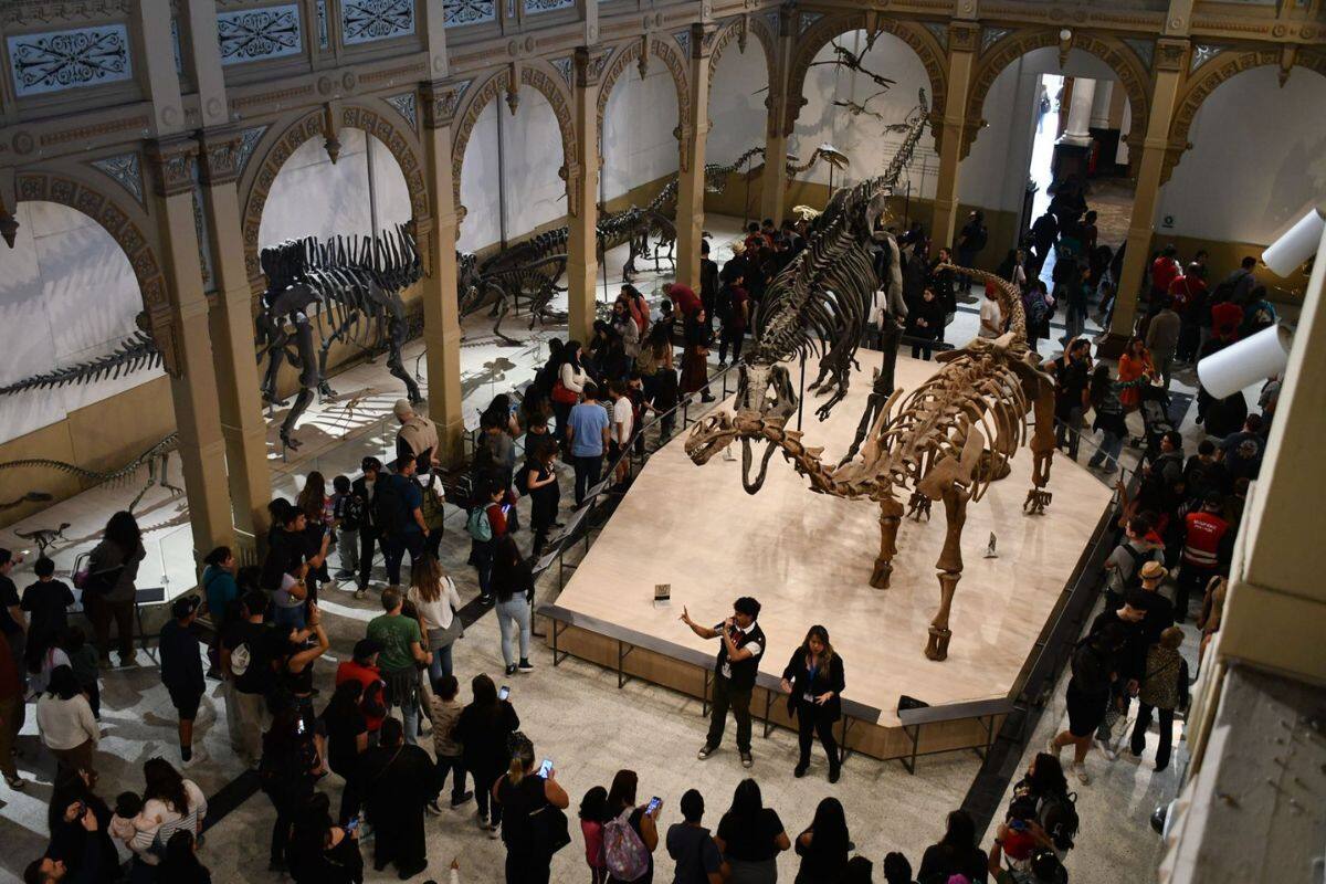 Esta increíble exposición está disponibles de lunes a domingo.
Créditos: Museo Nacional de Historia Natural.