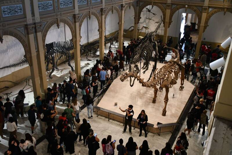 Esta increíble exposición está disponibles de lunes a domingo.
Créditos: Museo Nacional de Historia Natural.