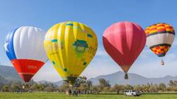 Para todos los gustos: 10 panoramas imperdibles para hacer con niños y niñas en la Región Metropolitana
