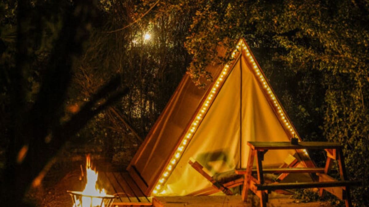 A menos de 45 minutos de Santiago: Estos glamping rodeados de árboles son perfectos para descansar
