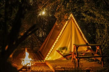 A menos de 45 minutos de Santiago: Estos glamping rodeados de árboles son perfectos para descansar