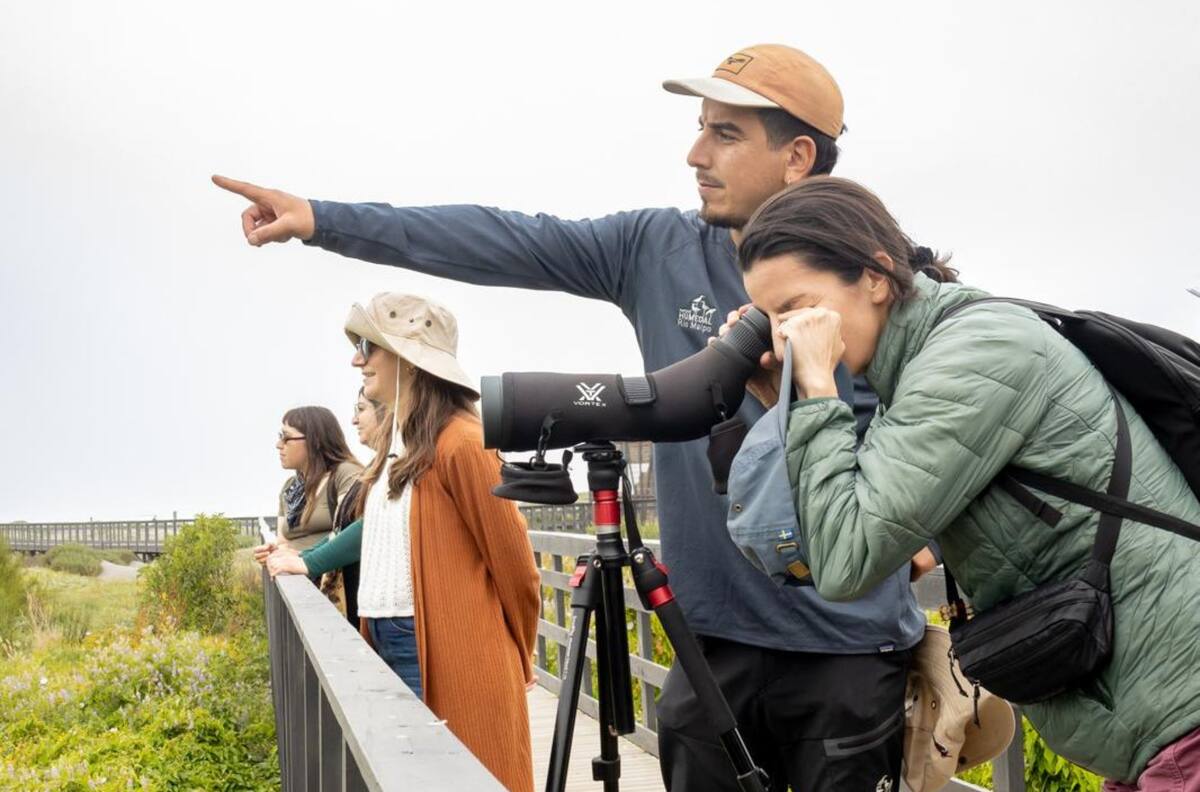 Los siete mejores panoramas para realizar en el Parque Humedal Río Maipo durante febrero