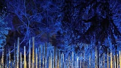 Niños y adultos van a disfrutar: Los mejores panoramas para hacer en Santiago antes de que se termine el año