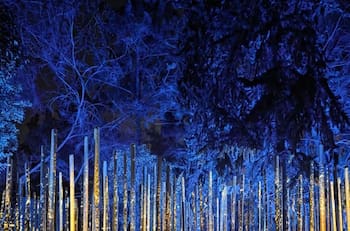 Niños y adultos van a disfrutar: Los mejores panoramas para hacer en Santiago antes de que se termine el año