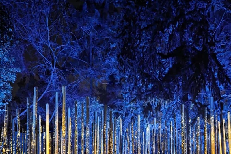 Todos los integrantes de la familia van a poder disfrutar durante este fin de año en la ciudad.
Créditos: Google Maps.