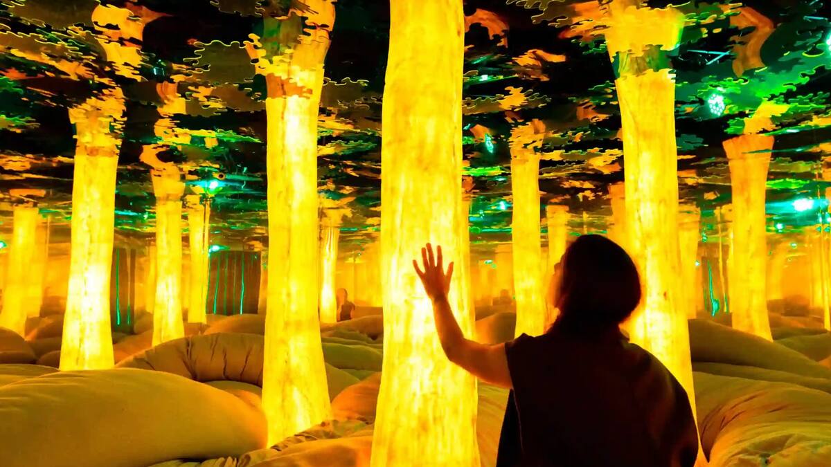 ¿Qúe hacer HOY en Santiago? Los panoramas más entretenidos para este viernes 20 de febrero