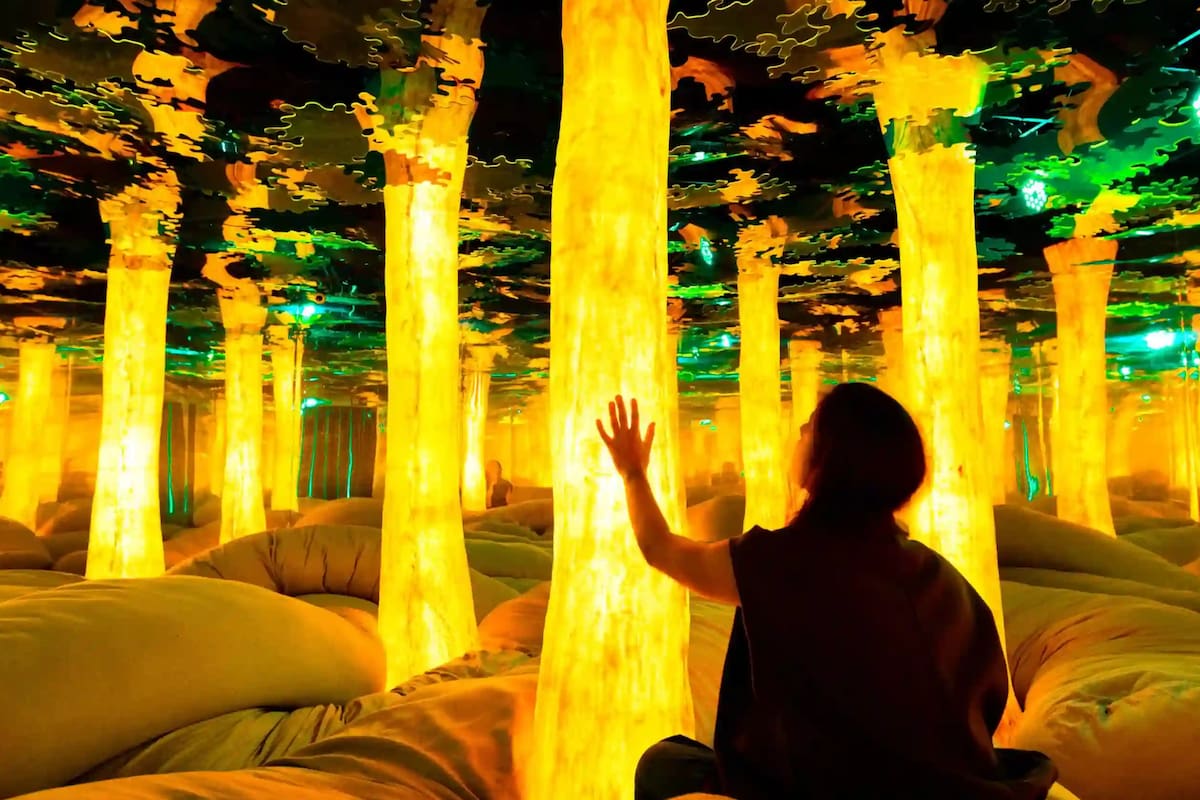 Las mejores actividades para hacer en la capital antes de que llegue marzo.
Foto: Dopamine Land.