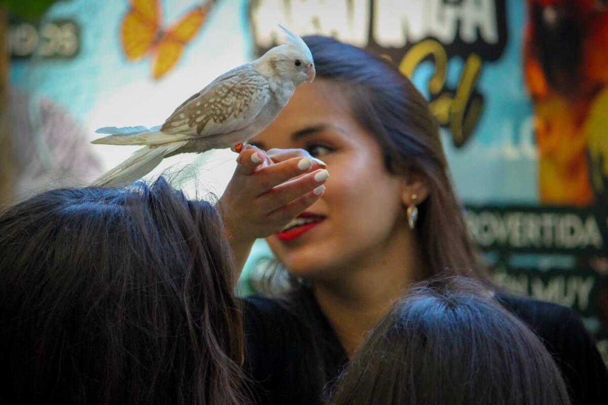 La ciudad ofrece entretenidas actividades para toda la familia, ideales para concluir las vacaciones de verano con broche de oro. En la foto: Mundo Exótico. Créditos: @diegusfotografia en Instagram.
