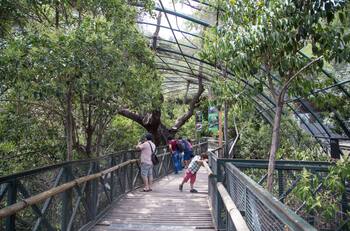 Descubre 6 panoramas gratuitos para hacer en familia en Santiago este verano