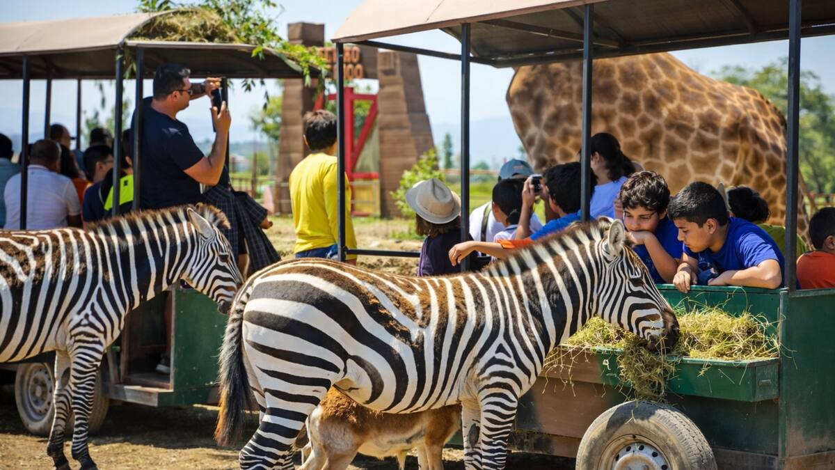 Los mejores panoramas para hacer con niños antes de marzo: piscinas, animales y aventuras para disfrutar en familia