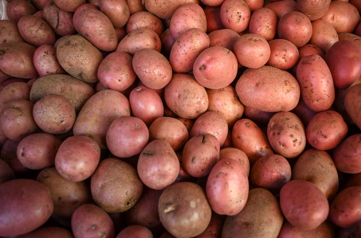 ¡No las metas al refrigerador! Así debes guardar tus papas para que duren más tiempo