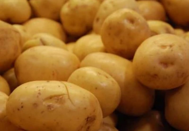 Papas Yaganas