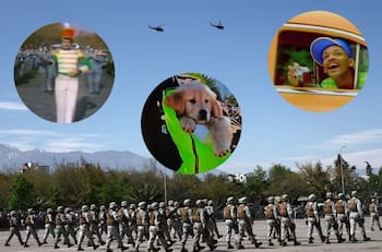 El piso sucio, los perritos e incluso el teniente Karol Dance: los mejores memes que dejó la Parada Militar 2025