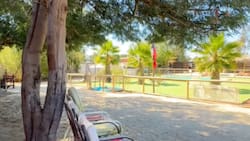 Este rincón natural con piscina y áreas verdes es perfecto para visitar en verano