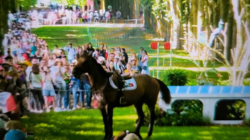 VIDEO | Jinete portugués sufrió grave accidente en París 2024