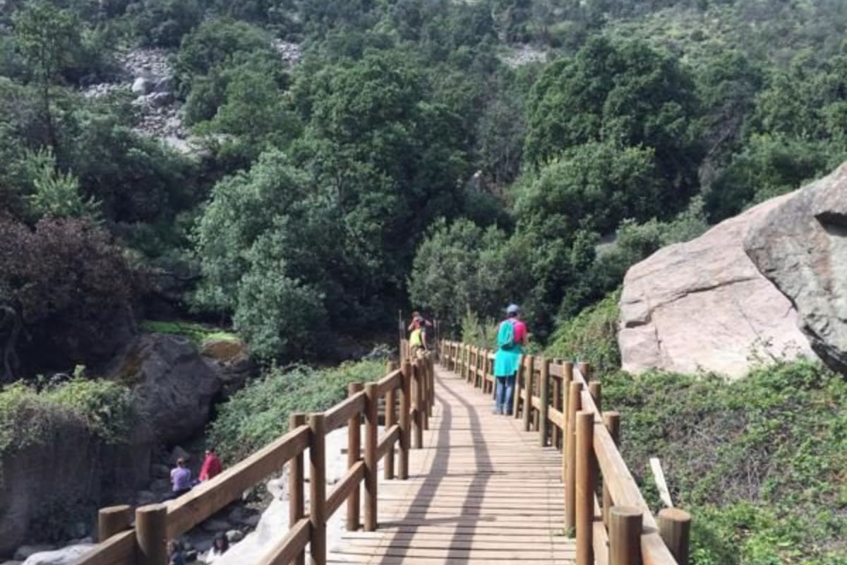 Este ofrece increíbles senderos, los que son ideales para hacer trekking. Créditos: Conociendo Chile.