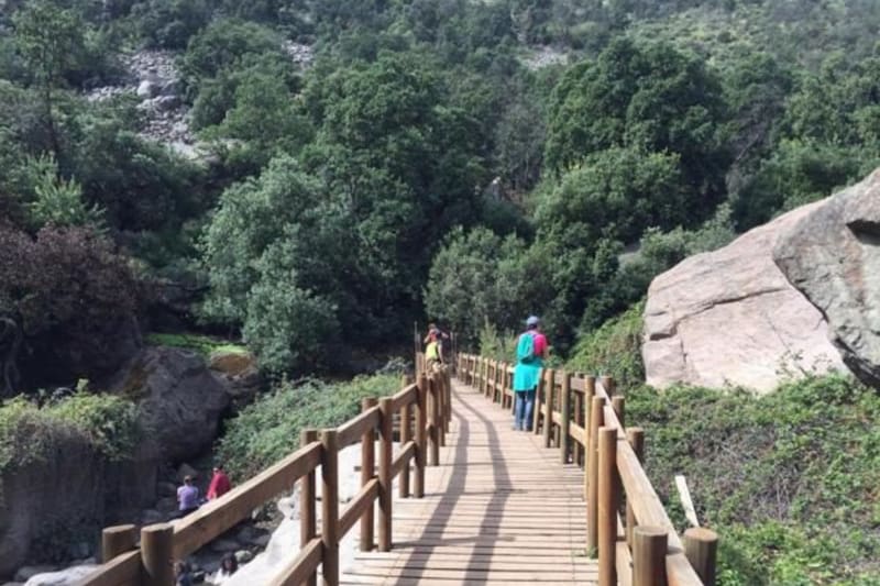 Este ofrece increíbles senderos, los que son ideales para hacer trekking. Créditos: Conociendo Chile.