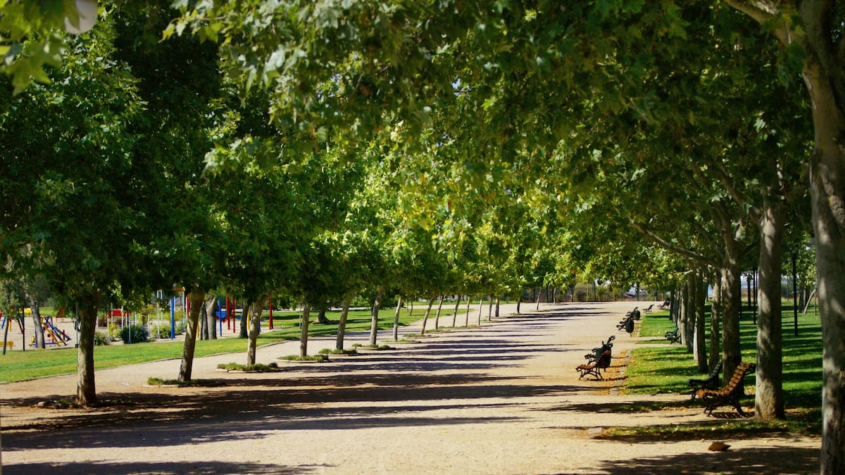Un pulmón verde de extensas praderas: el oasis oculto que encanta en Santiago por sus bosques nativos y otros atractivos