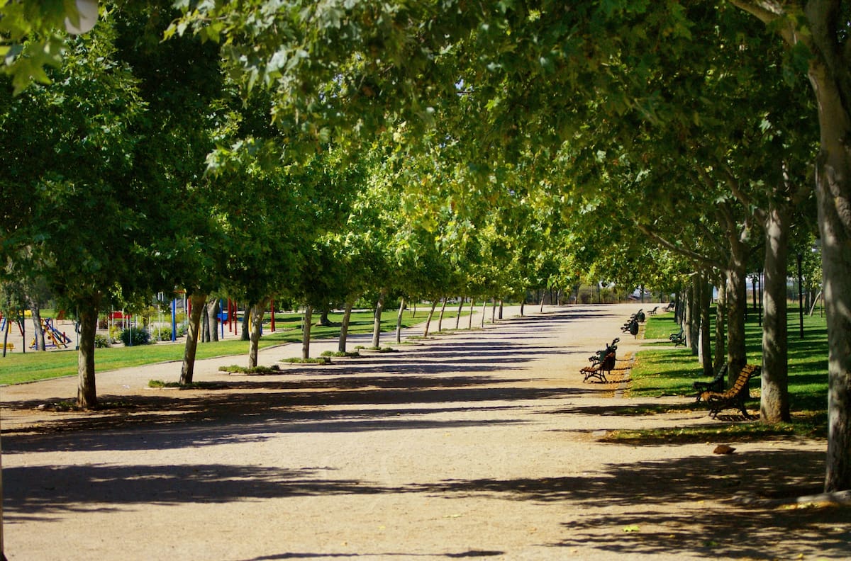 Un pulmón verde de extensas praderas: el oasis oculto que encanta en Santiago por sus bosques nativos y otros atractivos