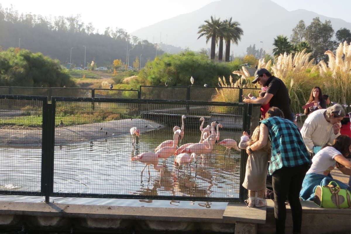 Foto: Santiago Espectaculoso.