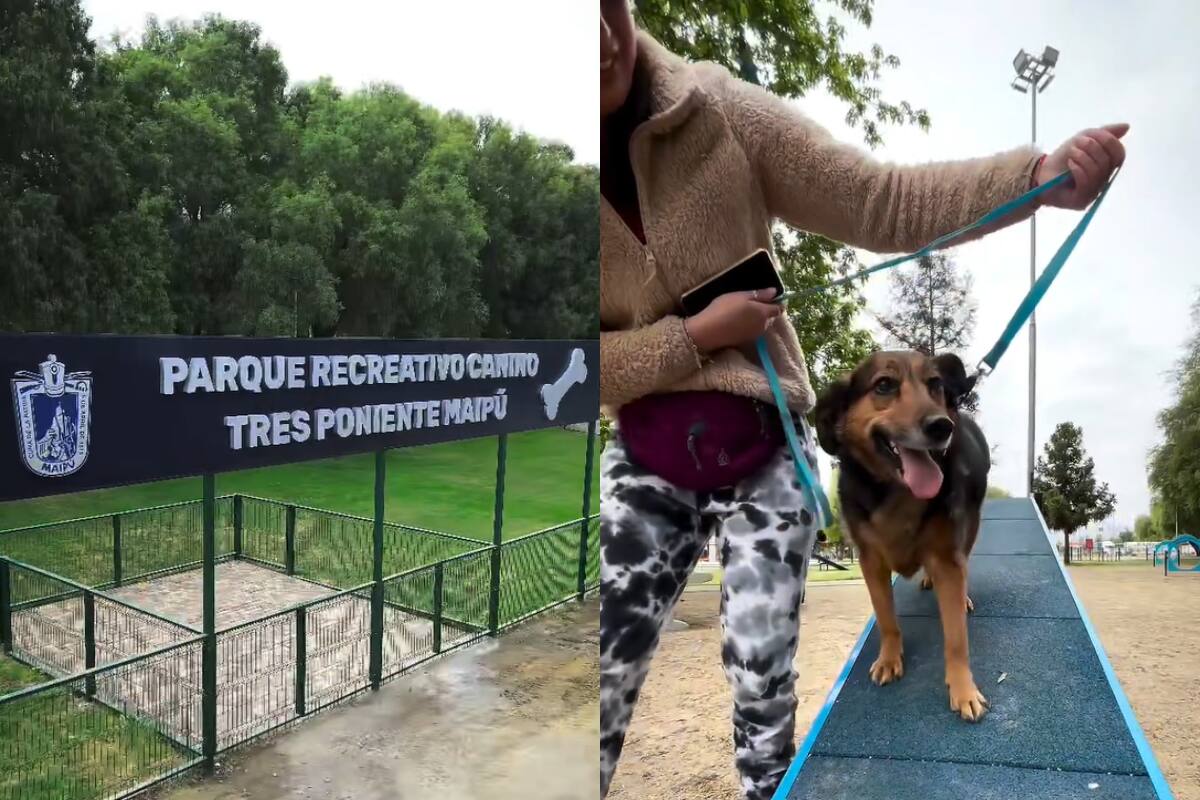 El recinto está instaurado al interior del Parque Tres Poniente de la comuna. Créditos: Municipalidad de Maipú.