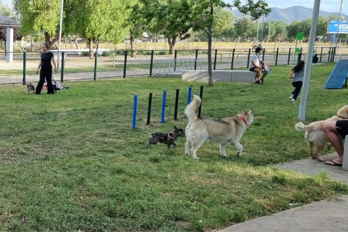 El recinto ofrece zonas de juego y de entrenamiento seguras y gratuitas al aire libre en la capital. Créditos: Google Maps.