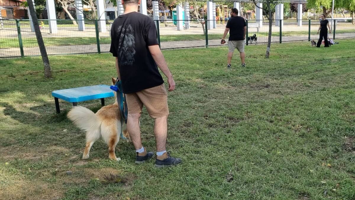 Este parque canino gratuito de Maipú es ideal para salir a disfrutar con tu mascota este fin de semana