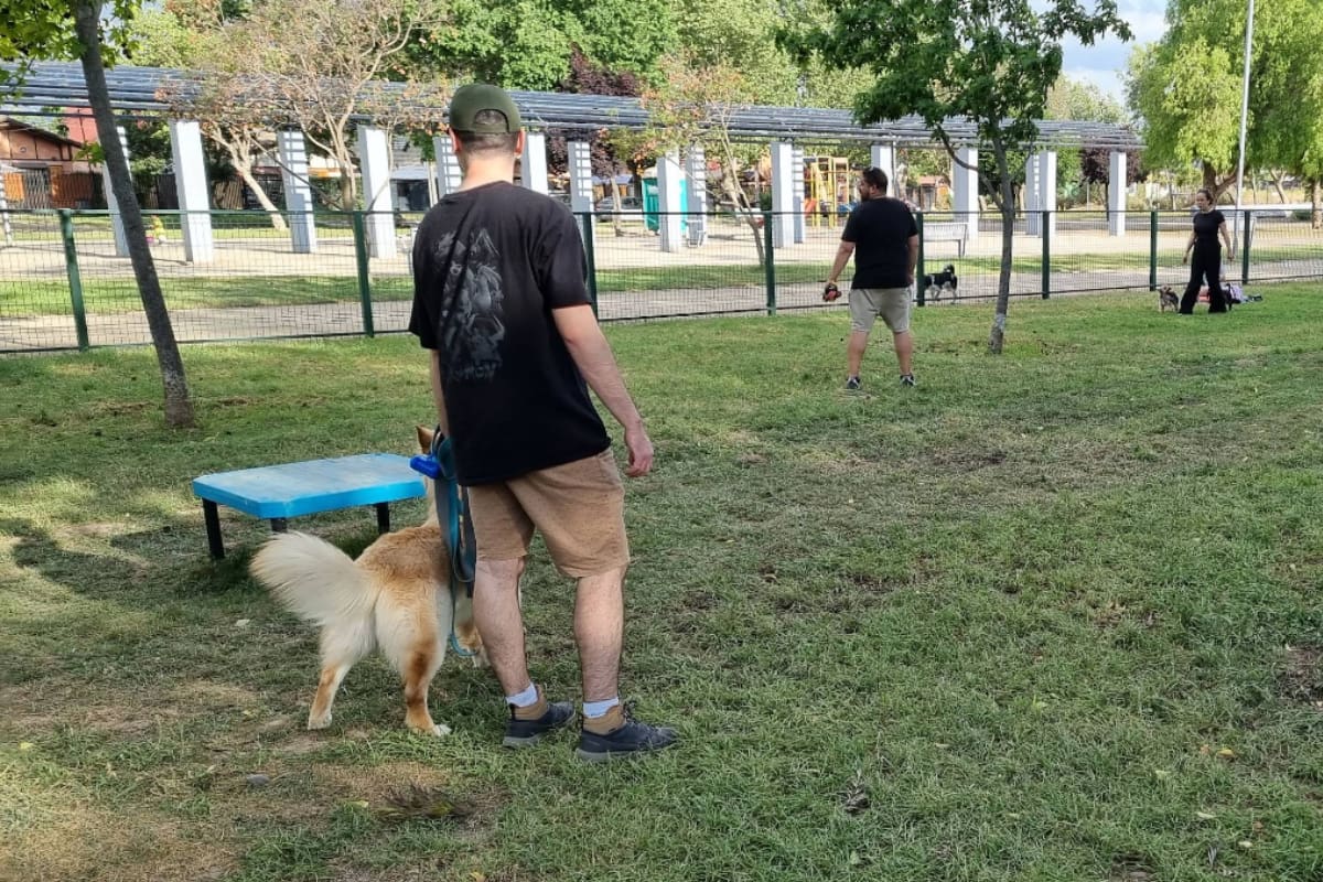 El recinto permite disfrutar de entretenidas actividades al aire libre, perfectas para el fin de semana. Créditos: Google Maps.