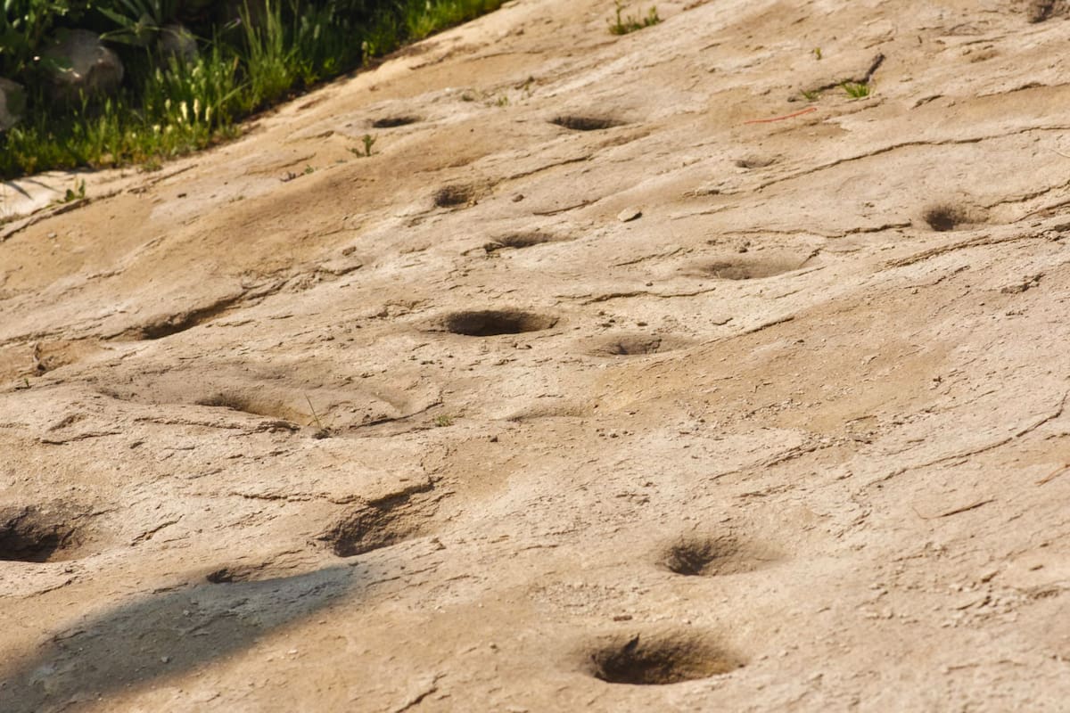 Estas formaciones de piedras tacitas se convierten en todo un panorama cultural que esconde esta área verde en Santiago. Foto: Servicio Nacional del Patrimonio Cultural.