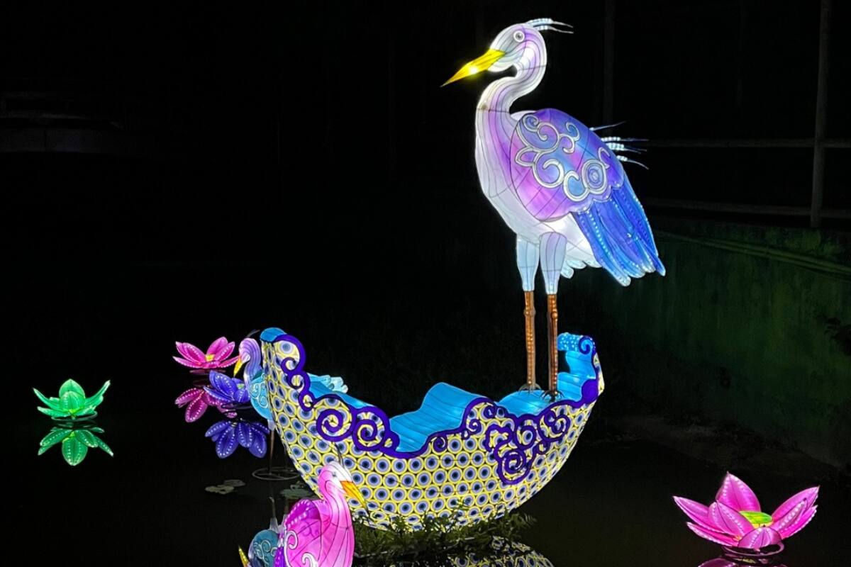 En la exhibición podrás disfrutar de lamparas chinas, piscinas y distintas muestras de la cultura asiática.