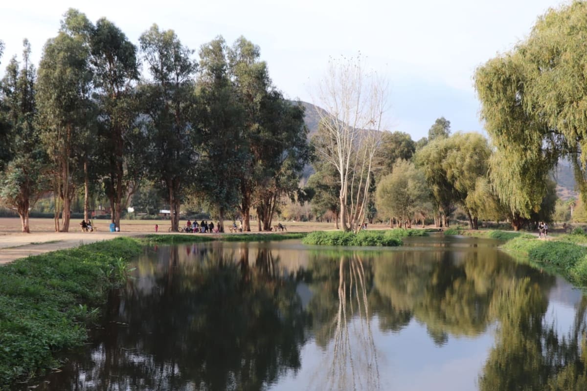 Este recinto es el pulmón verde principal de la Región de O'Higgins. Foto: Wikipedia.