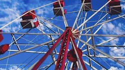 Vuelve Wonder Park a la Región Metropolitana: Un excelente panorama para disfrutar con los más pequeños en verano 2026