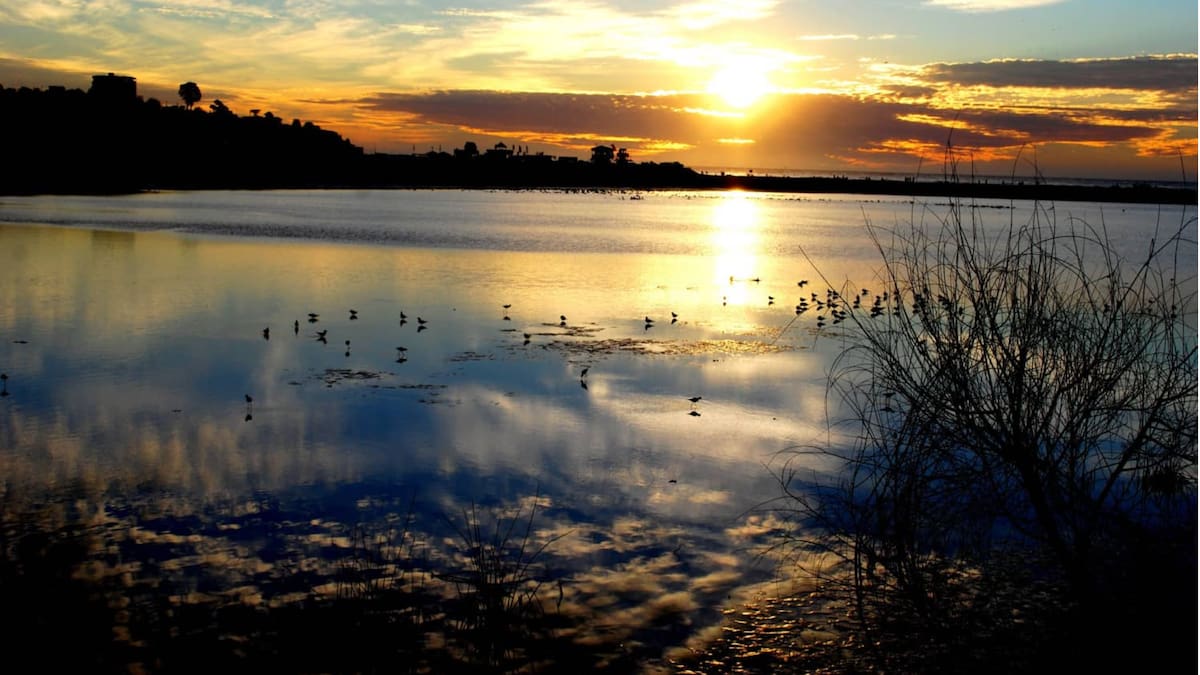Ni en Viña del Mar ni en Valparaíso: El paraíso natural oculto de la V Región que es gratuito e ideal para descansar