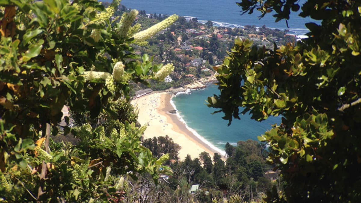 El pulmón verde de la Región de Valparaíso que pocos conocen: tiene 62 hectáreas, vista al mar y es ideal para visitar en otoño