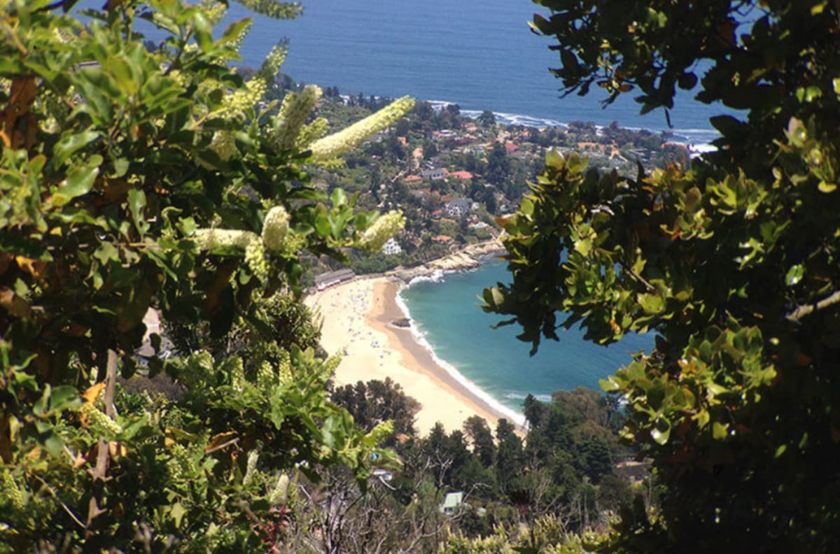 El pulmón verde de la Región de Valparaíso que pocos conocen: tiene 62 hectáreas, vista al mar y es ideal para visitar en otoño