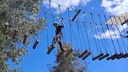 A una hora y media de Santiago: Vive la adrenalina en este parque de aventuras perfecto para paseos de fin de año