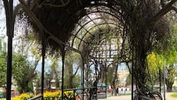 No necesitas salir de Santiago: Este parque es perfecto para visitar junto a niños y niñas en primavera