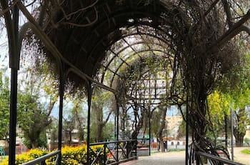 No necesitas salir de Santiago: Este parque es perfecto para visitar junto a niños y niñas en primavera