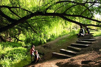 El parque de Santiago que pocos conocen y que parece un jardín secreto: tiene un estero y entrada gratis