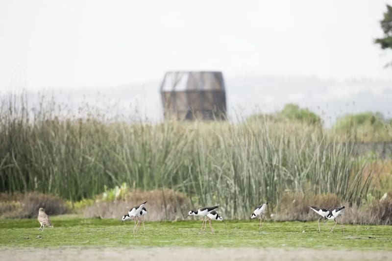 Cuenta con pasarelas, miradores panorámicos y módulos interactivos.
@ParqueHumedalRíoMaipo.